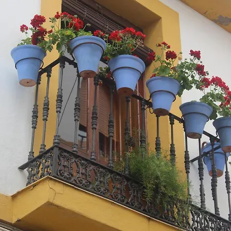Casa La Nuez 2*